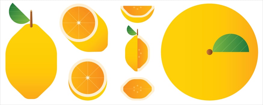 Isolated vegetables and fruits on white background. Vector illustration.
