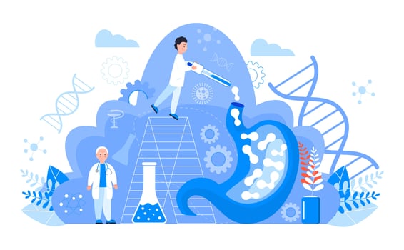 Gastroenterology concept vector. Stomach doctors examine, treat dysbiosis. Tiny gastroenterologist looks through magnifying glass at harmful bacteria. Gastritis, stomach ulcer illustration vector