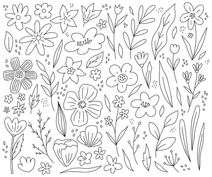 Big set of spring flowers, twigs and leaves isolated on white background. Vector hand-drawn illustration in doodle style. Perfect for cards, decorations, various designs. Botanical clipart elements.