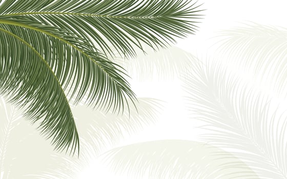 palm branch, coconut leaf vector