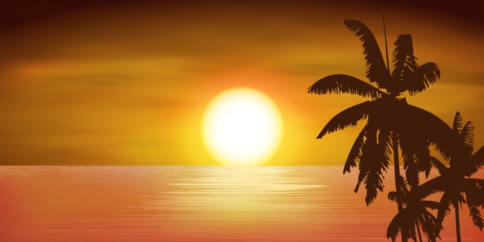 beautiful sea at sunset with coconut tree vector