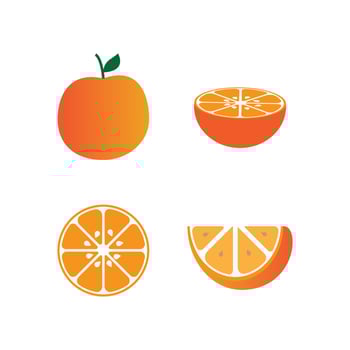 Orange fruit logo  vector illustration design