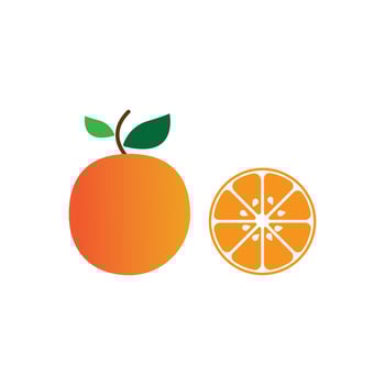Orange fruit logo  vector illustration design