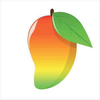 mango ripe fruit isolated on white background, colored cartoon for clip art, illustration, vector