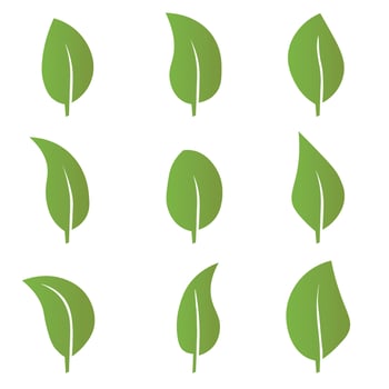 Eco green color leaf vector logo flat icon set. Isolated leaves shapes on white background. Bio plant and tree floral forest concept design.