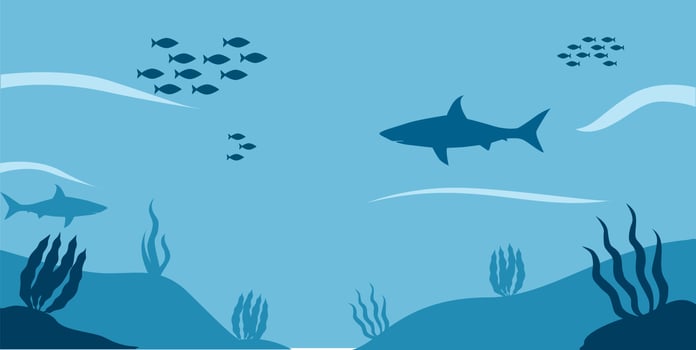 under the sea ecosystem vector shark fish
