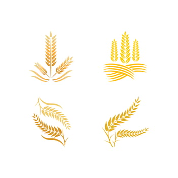 Wheat logo vector icon illustration