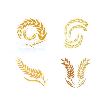Wheat logo vector icon illustration