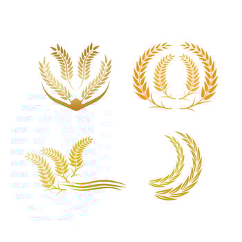 Wheat logo vector icon illustration