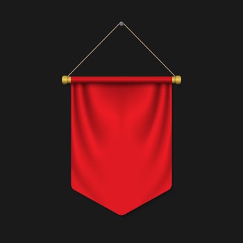 Empty 3D Pennant template vector