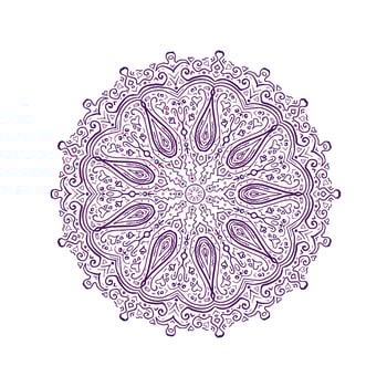 Paisley Pattern Mandala vector