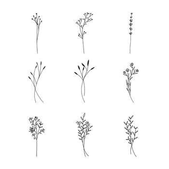 Hand drawn floral ornaments decorative elements vector