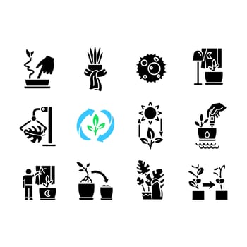 Caring for houseplants black glyph icons set on white space. Potted plants growing. Correct watering and light. Silhouette symbols. Solid pictogram pack. Vector isolated illustration