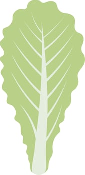 breakfast sandwich ingredients vector