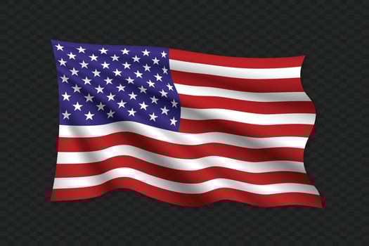 3D Waving Flag vector