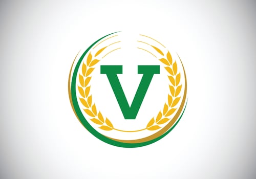 Initial letter V sign symbol with wheat ears wreath. Organic wheat farming logo design concept. Agriculture logo design vector template.