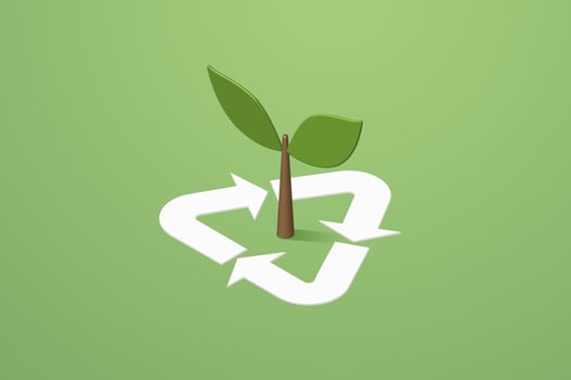 Recycle symbol and green tree sapling vector
