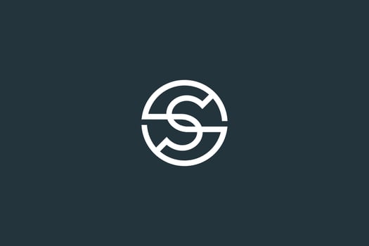 Initial Letter S Logo Design Vector Template