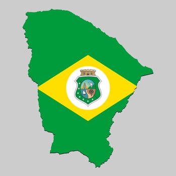 Map with national flag vector