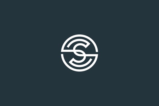 Initial Letter S Logo Design Vector Template