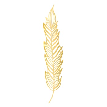 Golden drawn striped feather isolated vector illustration