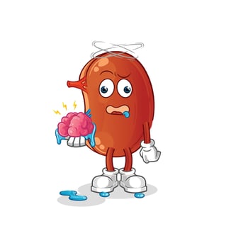 human kidney vector