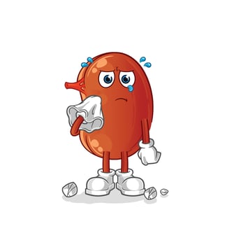 human kidney vector