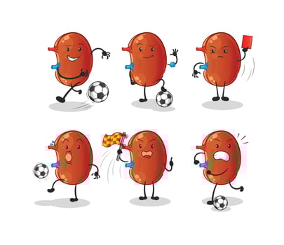 human kidney vector