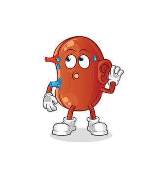 kidney mascot vector