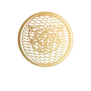minimalist luxury jewelry logo vector
