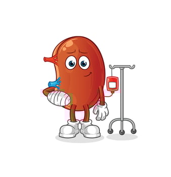kidney mascot vector
