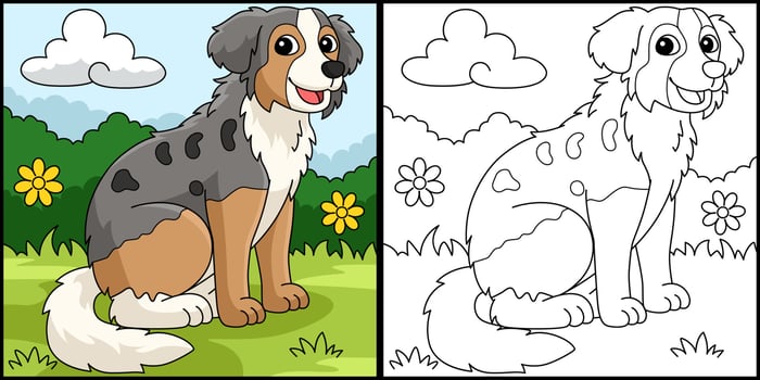 Australian Shepherd Dog Coloring Page Illustration vector