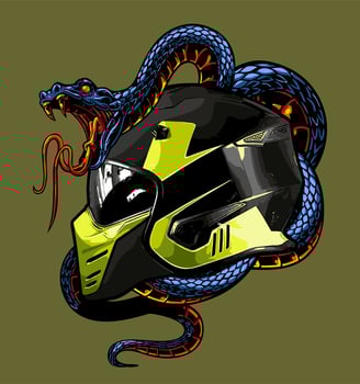 Helmet and snake vector