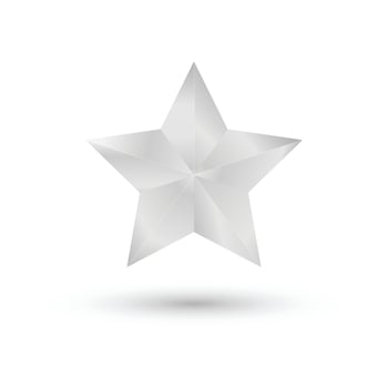 silver star icon vector. vector