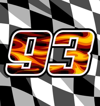 no 93 with checkered f vector
