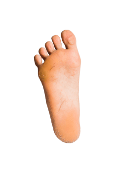 foot or pair of bare feet on isolated background png