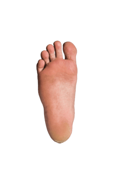 foot or pair of bare feet on isolated background png