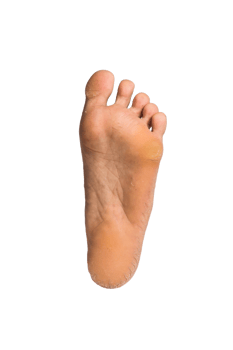 foot or pair of bare feet on isolated background png