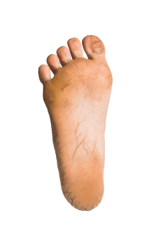 foot or pair of bare feet on isolated background png