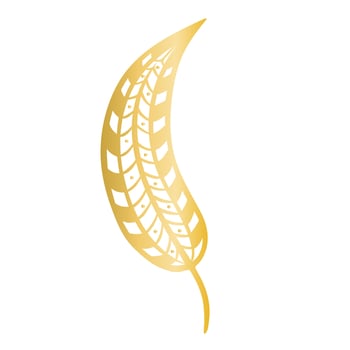 Beautiful golden boho feather isolated vector illustration