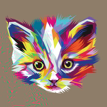 Colorful cat vector illstration