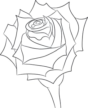 A painted rose. Contour drawing. Flower for coloring. vector
