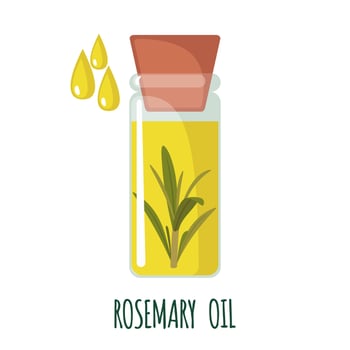 Rosemary essential oil icon in flat style isolated on white background. Vector illustration.