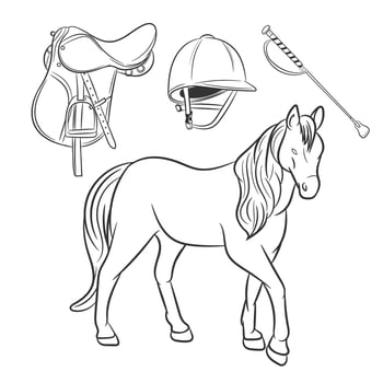Horse vector illustration