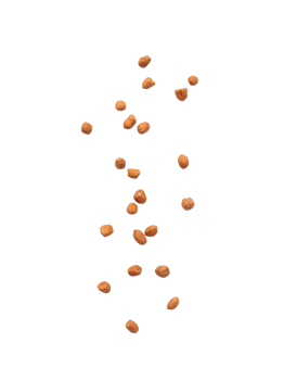 Falling peanuts cutout, Png file