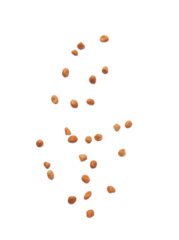 Falling peanuts cutout, Png file