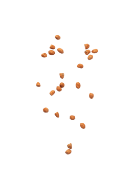 Falling peanuts cutout, Png file