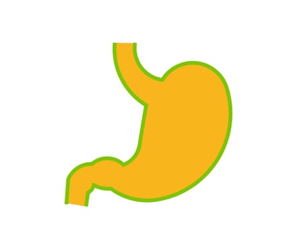 vector design, hull shape illustration