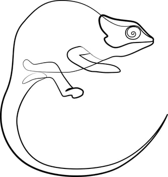 single line exotic pet chameleon vector
