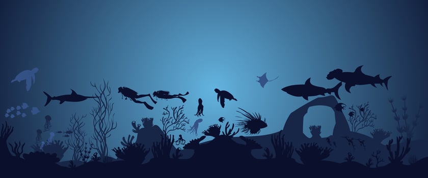 silhouette of coral reef with fish and divers on blue sea background underwater vector illustration